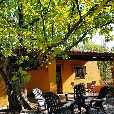 La Virinuela (adults Only) Galaroza