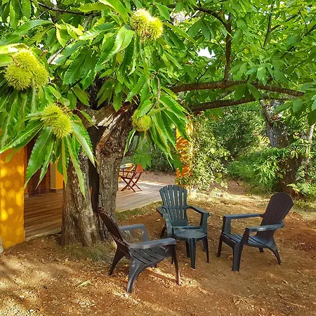 Сasa de vacaciones La Viriñuela Galaroza