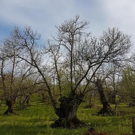 La Viriñuela * Galaroza
