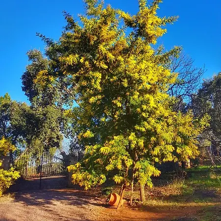 La Viriñuela Сasa de vacaciones *