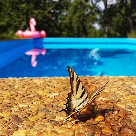 La Virinuela (adults Only) Holiday home Galaroza