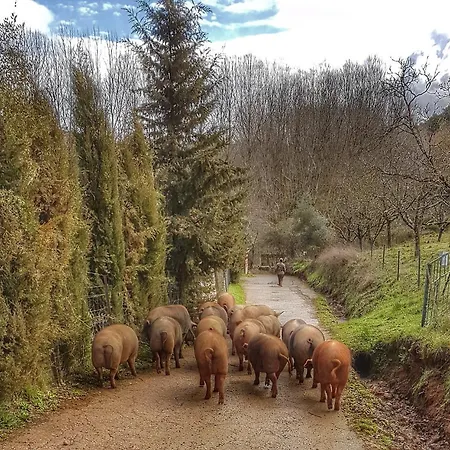 Сasa de vacaciones La Viriñuela Galaroza